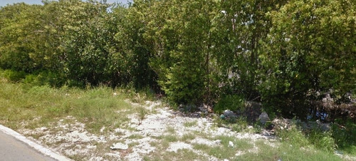 Imagen 3 de 3 de Maginifico Terreno Para Desarrolladores En Cancun! C2003