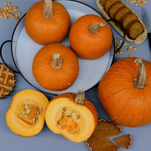 Semillas De Auyama, Calabaza Sugar Pie Heirloom (15semillas)