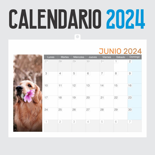 Calendario 2024 Perritos Y Gatitos  - Animeras