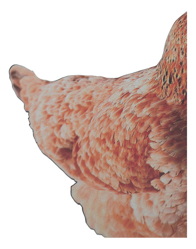 Estatua Realista De Gallina Y Gallina Con Forma De Gallina P