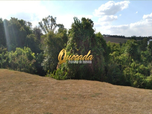 Imagem 14 de 15 de Terreno - Te00450 - 70618476