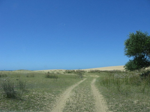 Imagen 2 de 5 de Cabo Polonio, El Mejor Lugar Para Invertir