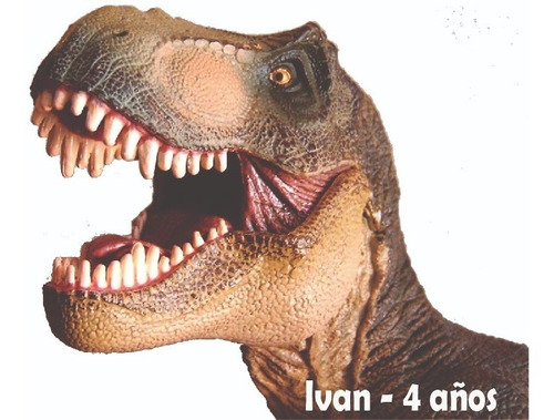 10 Almohadoncitos Cara Dinosaurio 25 X 20 Cm Almohadon T Rex | MercadoLibre