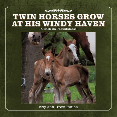 Twin Horses Grow At His Windy Haven - Edy And Drew Finish