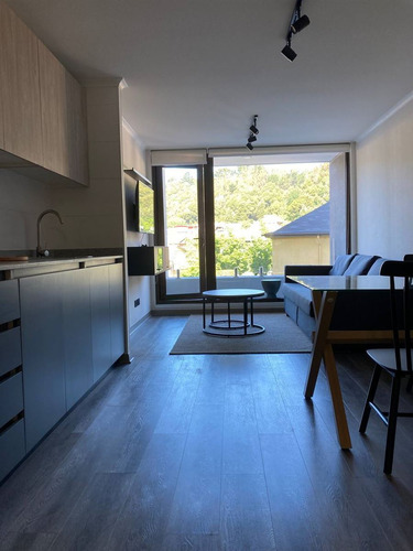Departamento En Arriendo De 1 Dorm. En Concepción