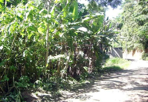 Imagem 8 de 15 de Terreno À Venda, 167000 M² Por R$ 2.100.000,00 - Vila Progresso - Niterói/rj - Te2684