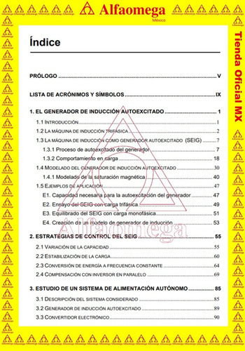 Libro Ao El Generador De Inducción Autoexcitado