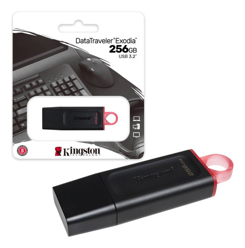 Pendrive Kingston 256gb Usb 3.2