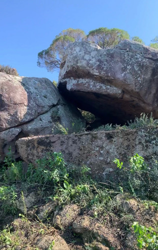 Cabañas De Tronco En El Campo, Piriapolis ,cerro Pan De Azúcar