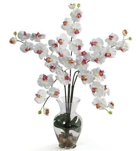 Casi Natural 1106-wh Phalaenopsis Ilusion Liquida Arreglo 