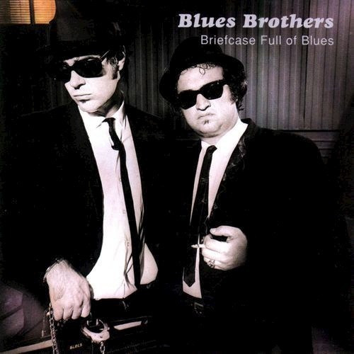 Briefcase Full Of Blues - Blues Brothers (cd)