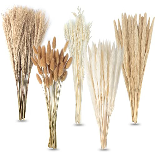 Decoración De Pampas Grass, 100 Piezas De Pampas Espon...