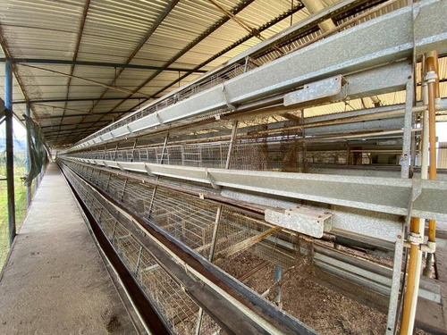 Imagen 10 de 30 de En Venta Granja Automatizada Y Finca De Ganado 142638 Andres Peña
