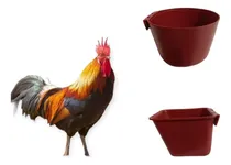 Comprar 50 Comederos Cuadrados + 50 Bebederos 1 Litro