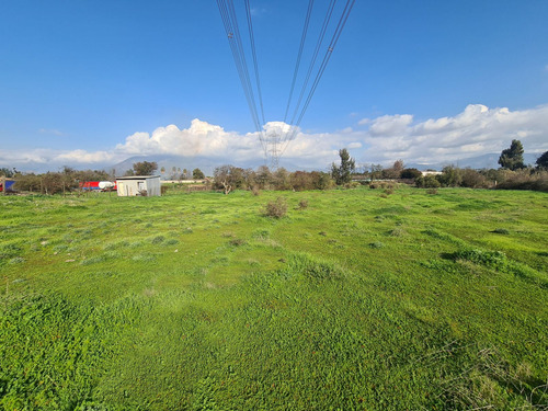 Terreno Plano 9.800 M2 A 3 Cuadras De Plaza De Armas Olmué.