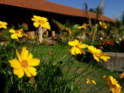 Pousada À Venda, 10000 M² Por R$ 6.360.000,00 - Area Rural - Holambra/sp - Po0001