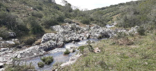 Imagen 9 de 13 de Chacra En Venta - Aiguá Cw177044