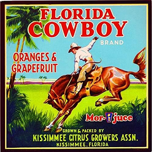 Letreros De Hojalata Vintage Kissimmee Florida Cowboy De Tym