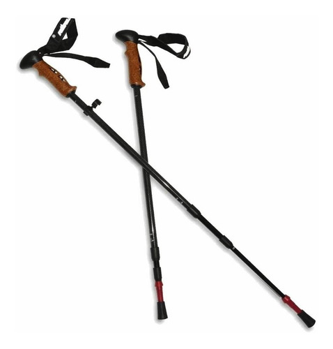 Par De Bastones De Trekking Northland Extensibles Carbono