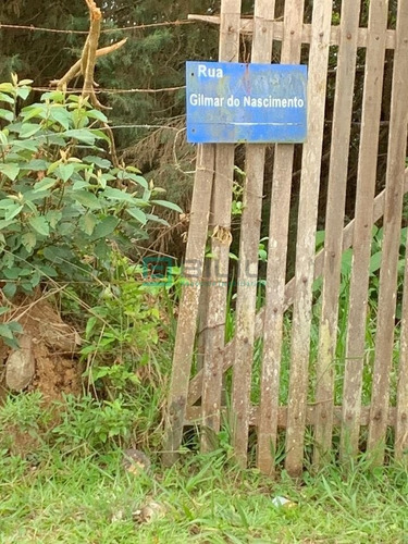 Imagem 1 de 14 de Chácara Em São Domingos - Suzano - 284