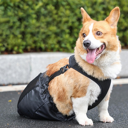 Bolsa De Para Perros Suministros Para Mascotas Ajustable Xxl
