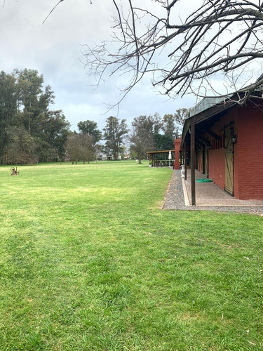 Imagen 6 de 6 de Terreno - Haras San Pablo