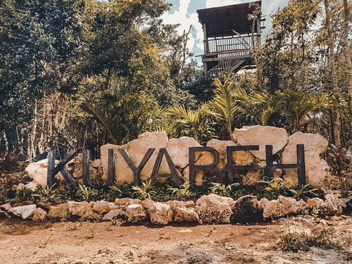 Imagen 22 de 30 de Lote De 1 Hectárea En Comunidad Eco Sustentable En Tulum P1970