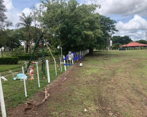 Imagem 15 de 20 de Sitio Com 4.8 Hectares, Em Uma Das Melhores Localizações De Araçatuba ! - St00011 - 70451109