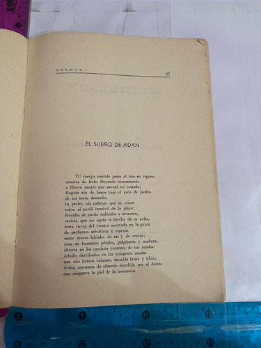 Manual De La Bandera (Usado)