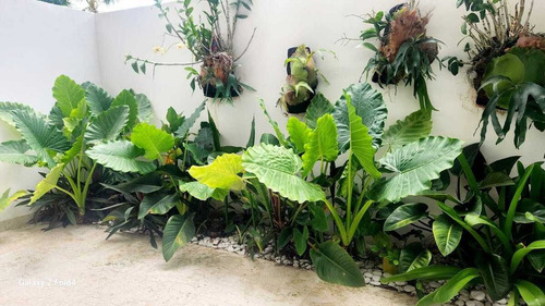 Venta Apartamento En Ciudad Las Canas, Punta Cana