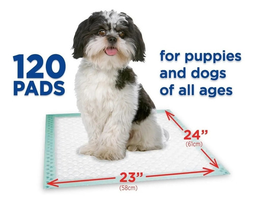 Tapetes Absorbentes 120 Pzs Tapete Entrenadores Para Perros