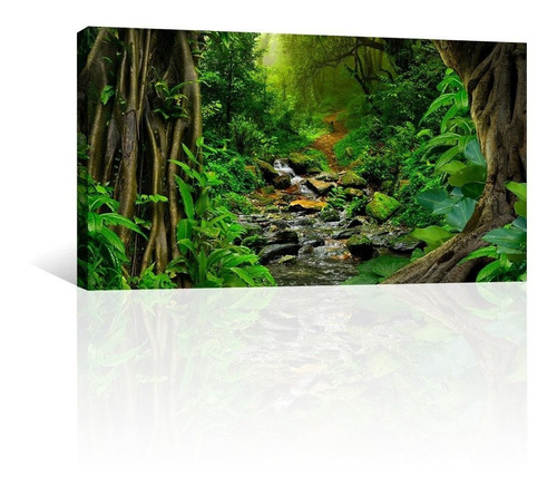 Cuadro Decorativo Naturaleza Canvas Lienzo Bosque Tropical