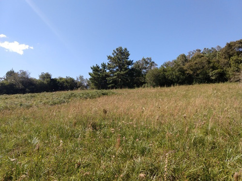 Chácara 5.000 M² - Mato Fino - Gravataí - Rs - 2098 - 33813871
