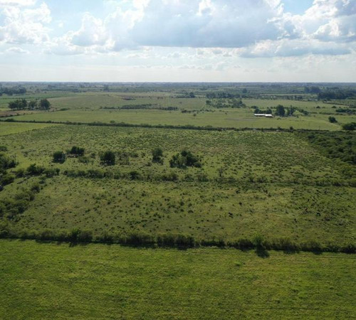Imagen 4 de 12 de Lotes Rurales De 3,5 Has Cada Una En Ejido Colón