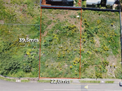 Sitio En Venta En Concepción