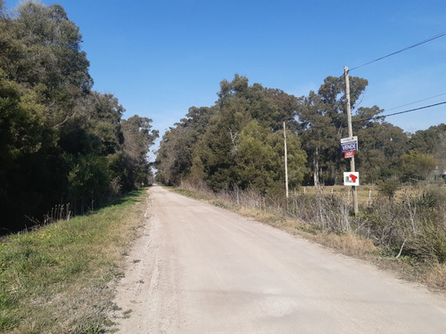 Imagen 2 de 10 de 1.5 Hectareas En Veronica, Punta Indio