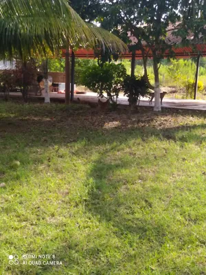 Terreno en venta