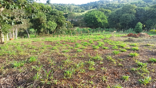 4 Terrenos De 250m2 45 Mil Cada Um A 70 Metros Da Br 381