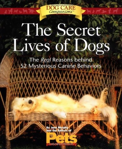 The Secret Lives Of Dogs The Real Reasons Behind 52 Mysterio