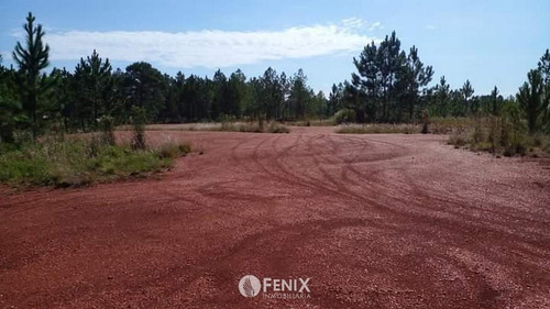 Tf731 - Terreno En Venta Z/ Candelaria