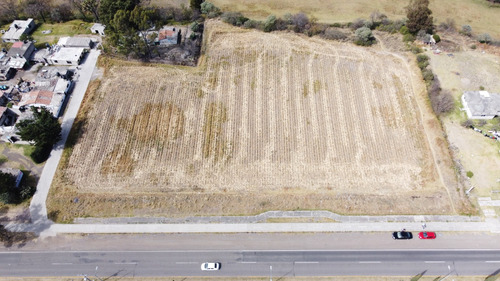 Hermoso Terreno De 9,899 M2 En Jocotitlan