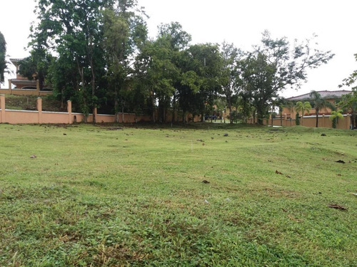 Imagen 7 de 14 de Venta De Terreno De 557 M2 En Ph Clayton Village 21-4521