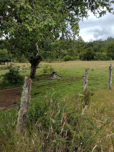 Imagen 3 de 30 de Agrícola En Venta En Ancud
