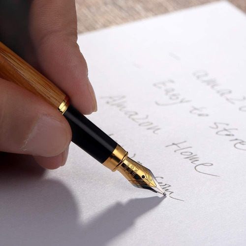 Caso Pluma Estilografica Conjunto De Escritura Recogida...