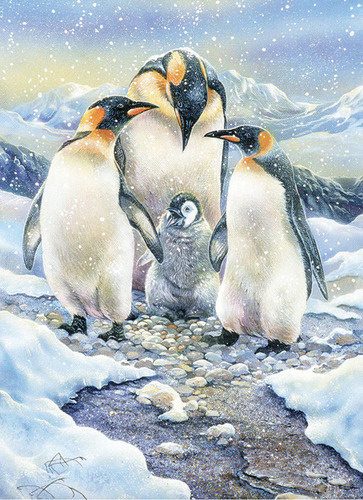 Rompecabezas Familiar Pinguinos En Familia 350 Pz Cobble Hill Family Puzzle