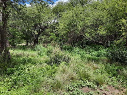 Imagen 7 de 10 de Terreno En Venta En Zona Boxes