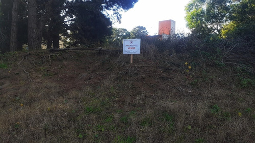 Imagen 4 de 4 de Lote Sobre Nivel De Calle Con Buena Forestación, Mar Azul