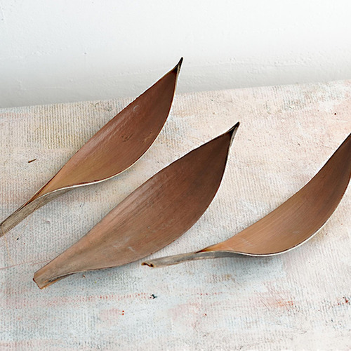 Paletas De Palma Secas Hojas De Cacao Arreglos Florales Deco