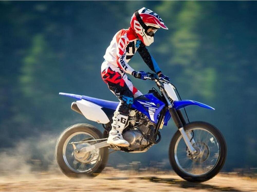 Imagen 19 de 20 de Moto Yamaha Ttr 125 2008 Delisio