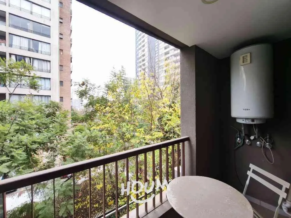 Imagen 4 de 19 de Departamento Quinta Avenida Id: 171844
